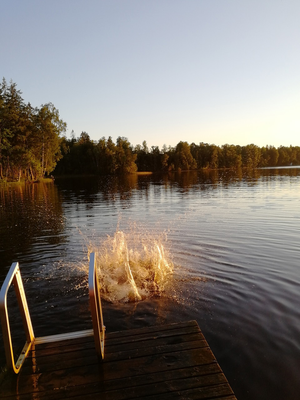 Kvällsdopp