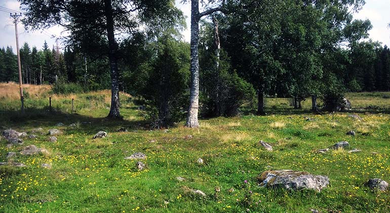 Betesmark i Stora Kortorp.
