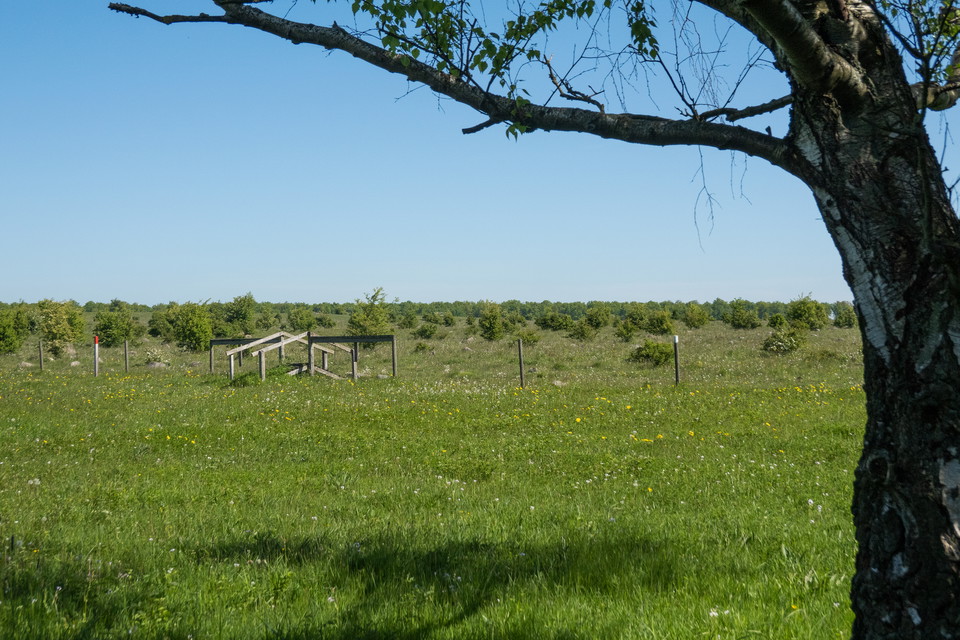 betesmark med stätta över staket