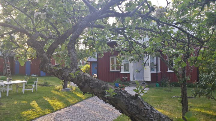 The little house in Fengersfors