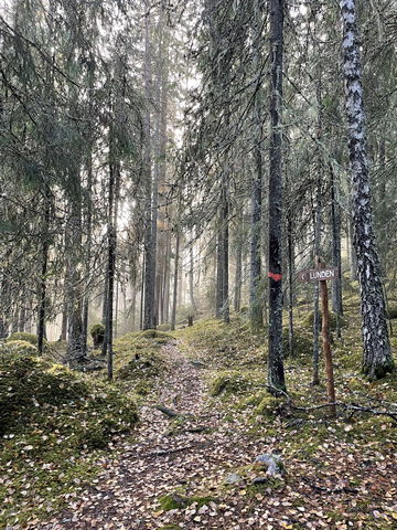Våckelberget markerade leder