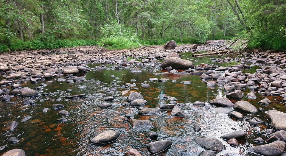 Enån. Foto Länsstyrelsen i Dalarnas län