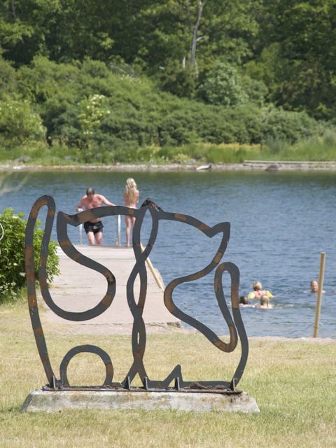 kattrumpans badplats