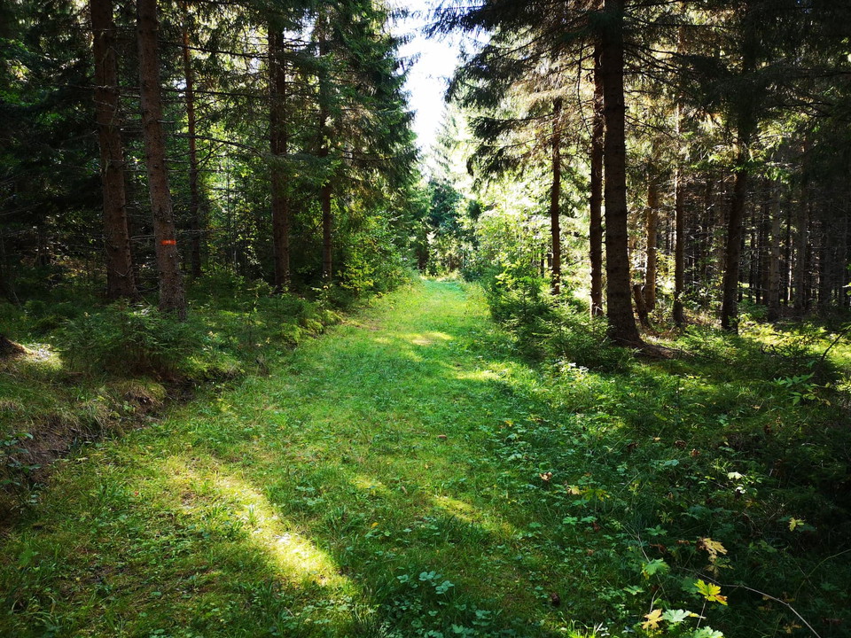 Flottarleden går efter skidvägen på slutet
