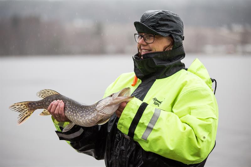 Fang storgjedda i Haldenkanalen