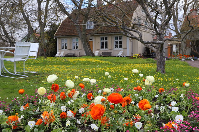 Krusentiernska trädgården