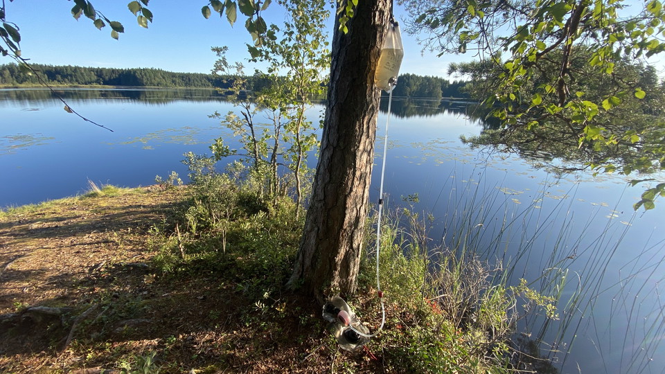 Ensuring Safe Hydration: Water Purification Techniques for Hiking in Swedish Terrain