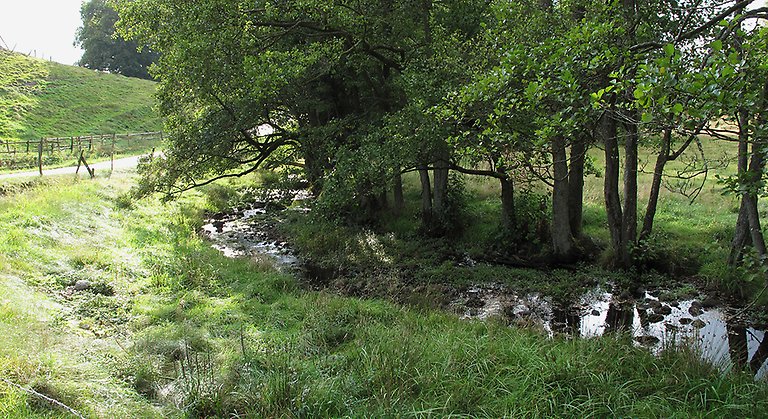 Klingstorpabäcken.