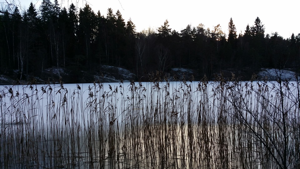 Vy mot Vattenverket från stigen norr om Kottlasjön. Foto Lidingö stad