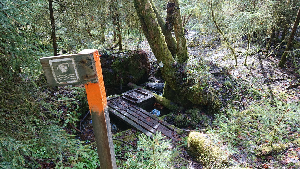 Kallvattenkälla vid Lindbacken