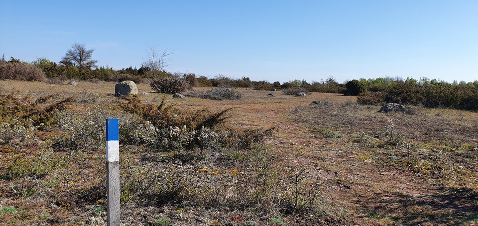 Följ vitmarkerade pinnar