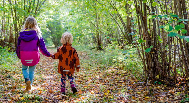 Naturstig Solsvängen, Bosarve lövskog