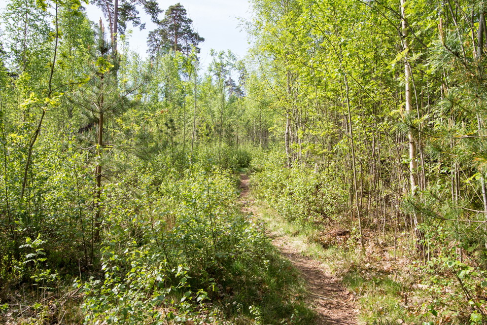 Fotograf: Tobias Ivarsson
