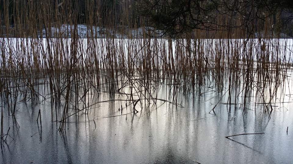 Vasskant på vintern. Foto Lidingö stad