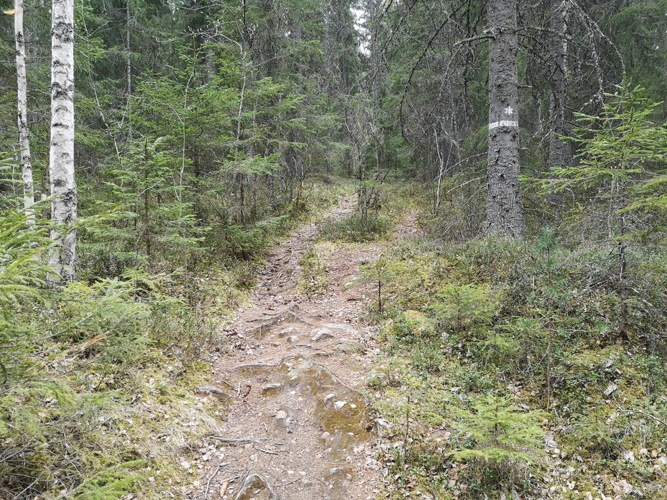 Längs med stigen in i reservatet