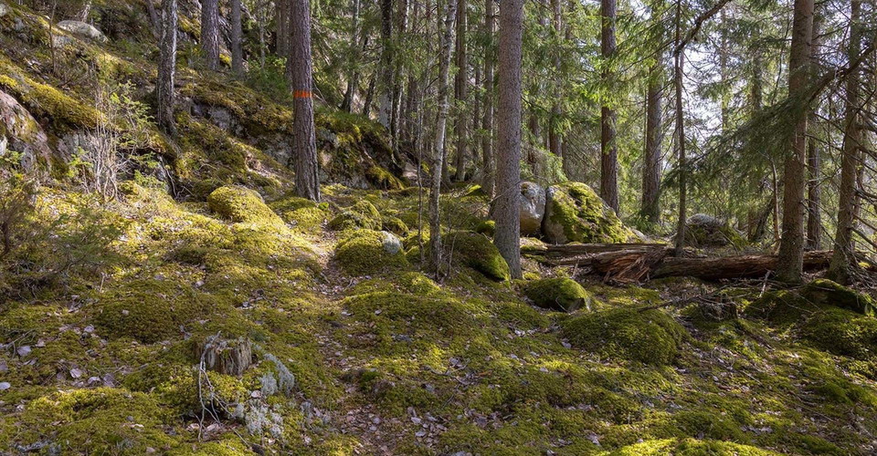 Leden går till stor del på skogsstigar.
Etapp: Norra Vi - Österbymo.
Ydre.