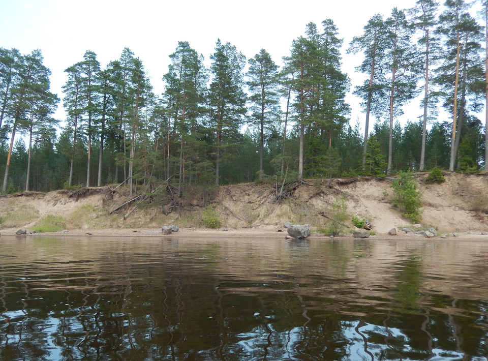 Älvbrinken