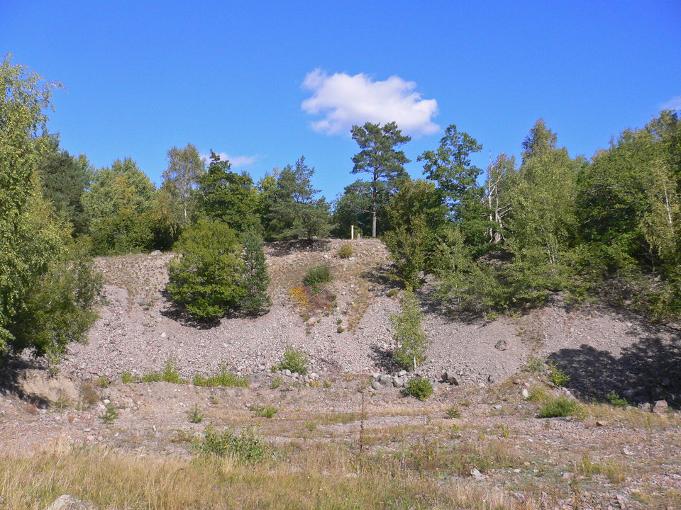 På en brant, stenig ås växer flera träd.