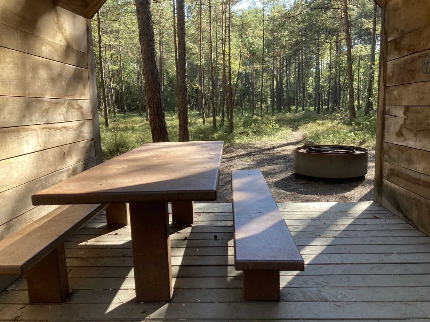 Bänkbord i ett vindskydd på en skogsbeklädd mosse