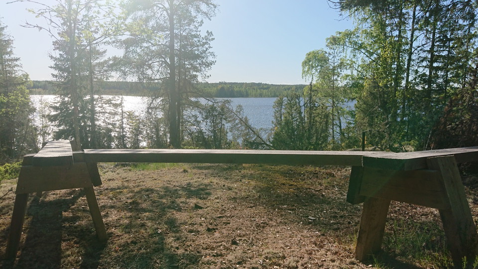 En bänk i motljus på ett berg, lite skog, vatten i bakgrunden.