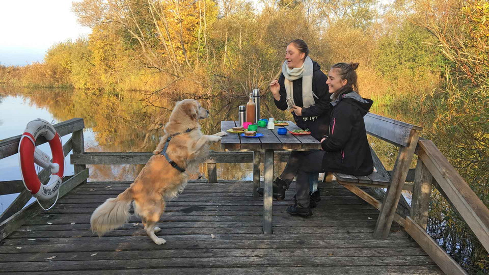 Två tjejer och en Golden retriever fikar på bryggan
