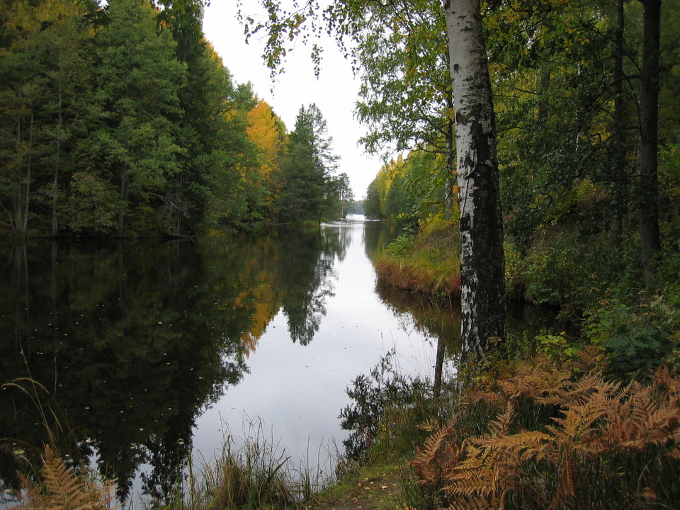 Dalälven vid Gropholmarna