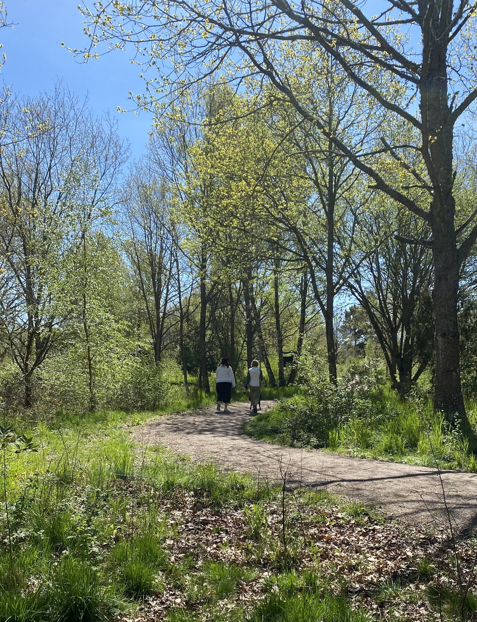 Fina, tillgängliga promenadstråk