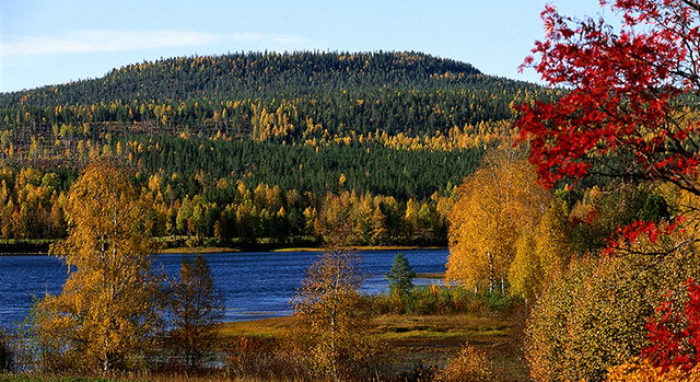 Snöberget