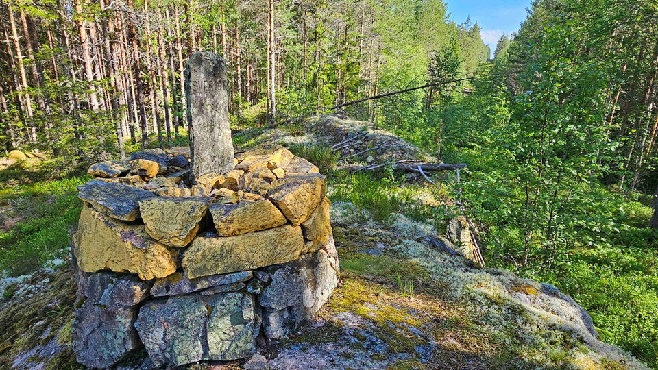 Riksröse 73A
