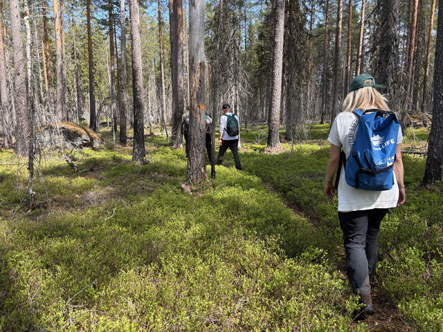 Västermark, vandringsled