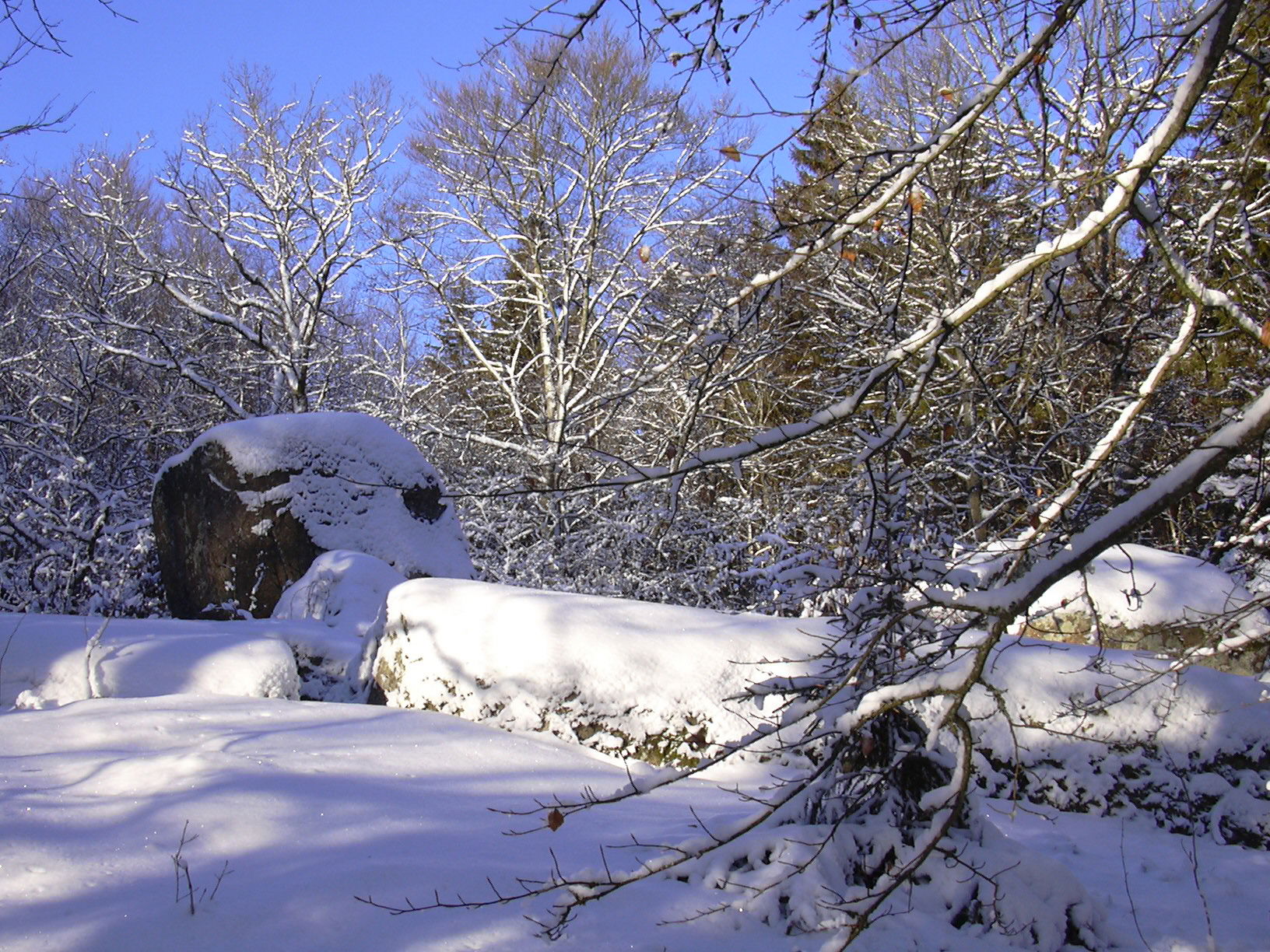 Lodjursslingan (Trollberget)