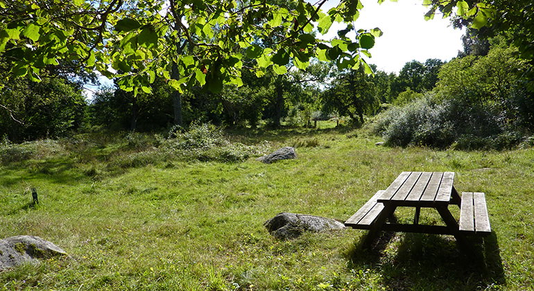 Björstorps hage, Naturreservat — Naturkartan