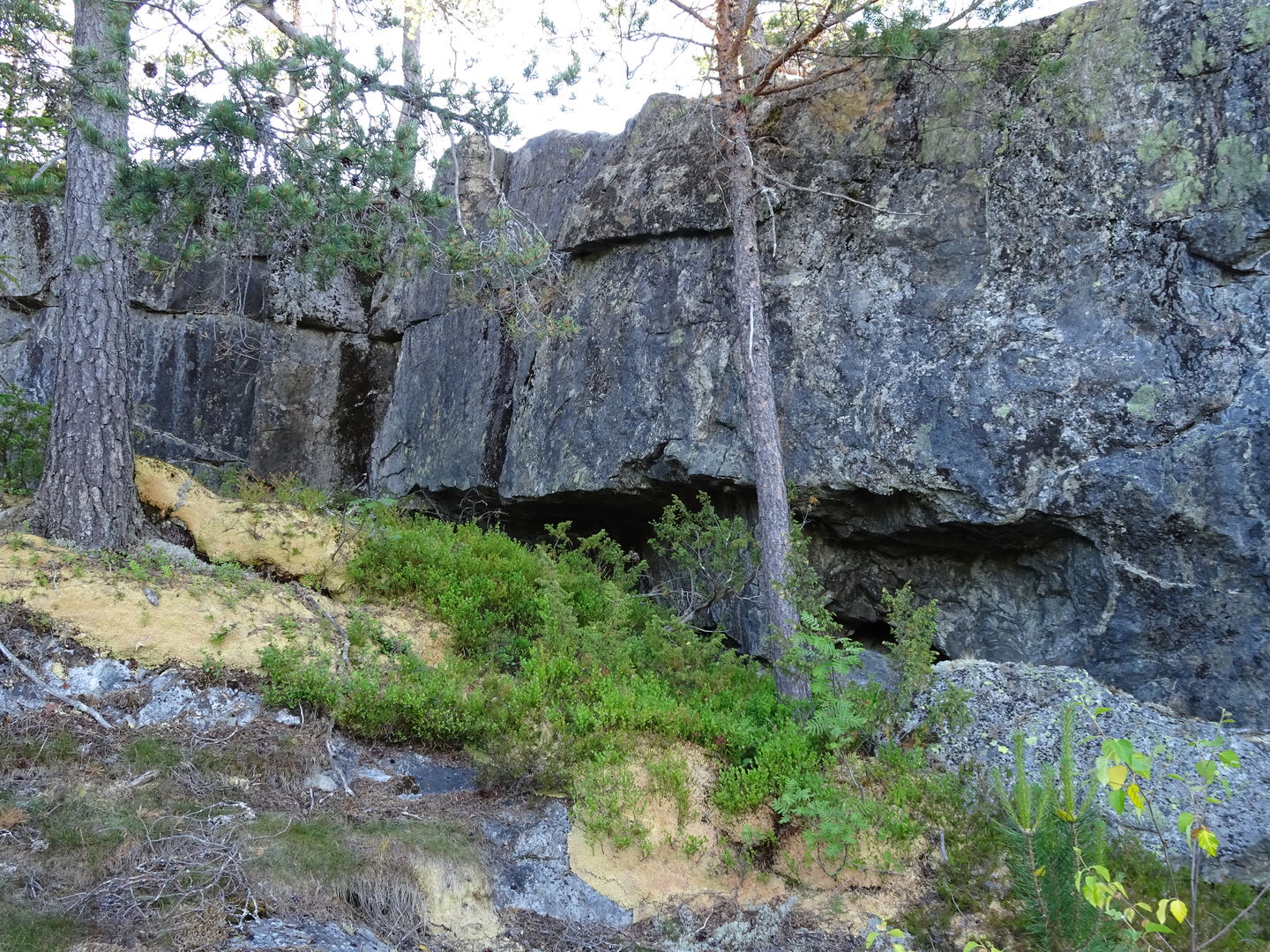 Lagergrottor i abrasionsterass.