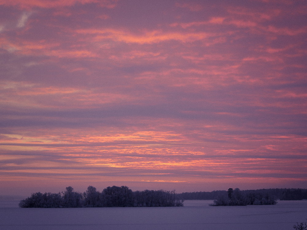 Vintern på Ängsö