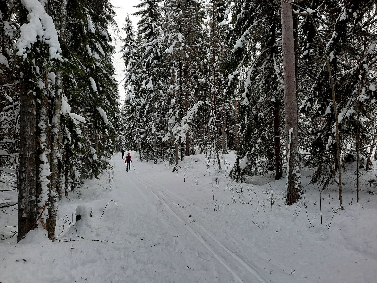 Härliga längdspår på vintern!