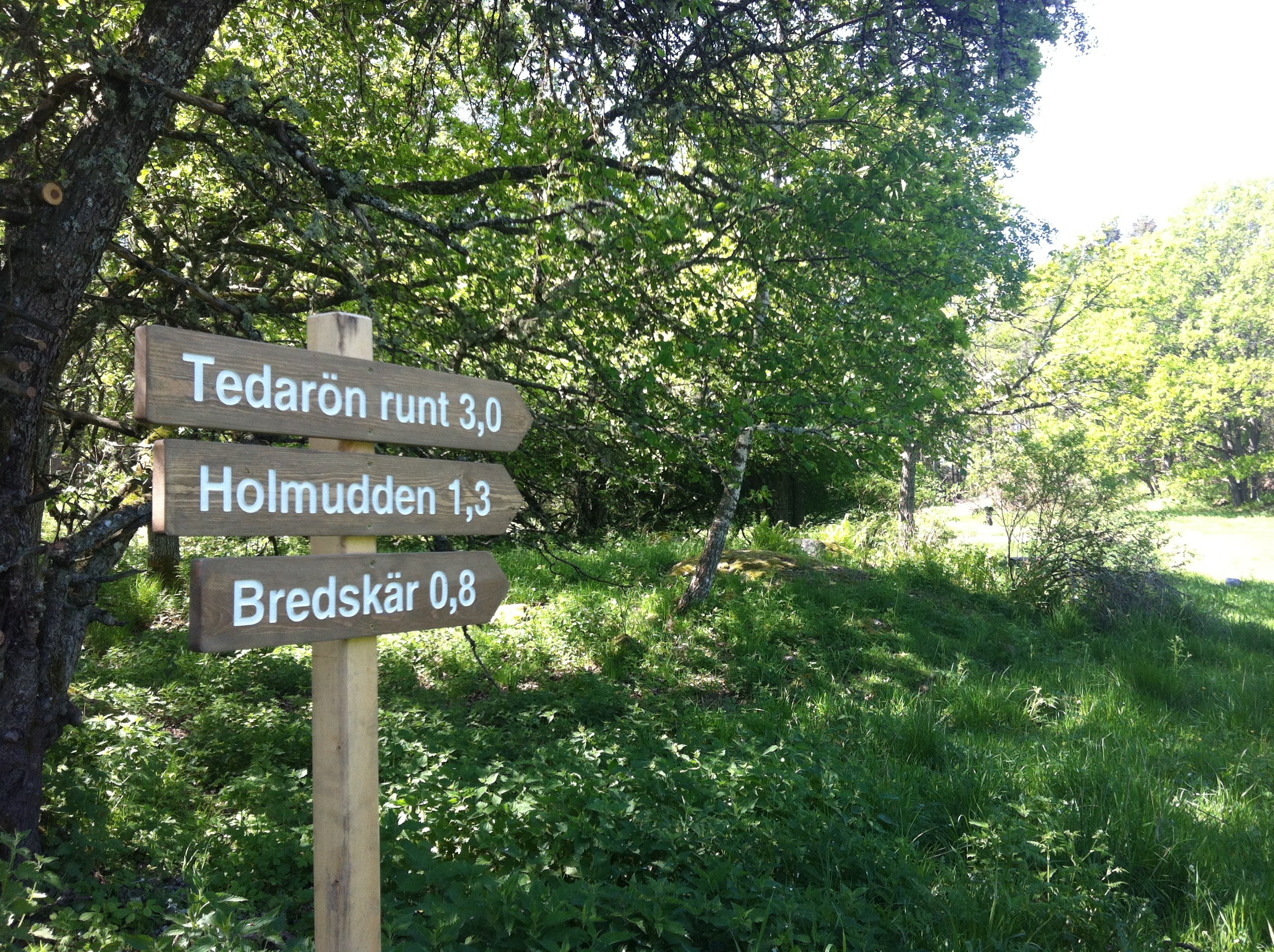 Tre träskyltar med vit text som visar vägen till Holmudden, Bredskär och stigen som går runt Tedarön.