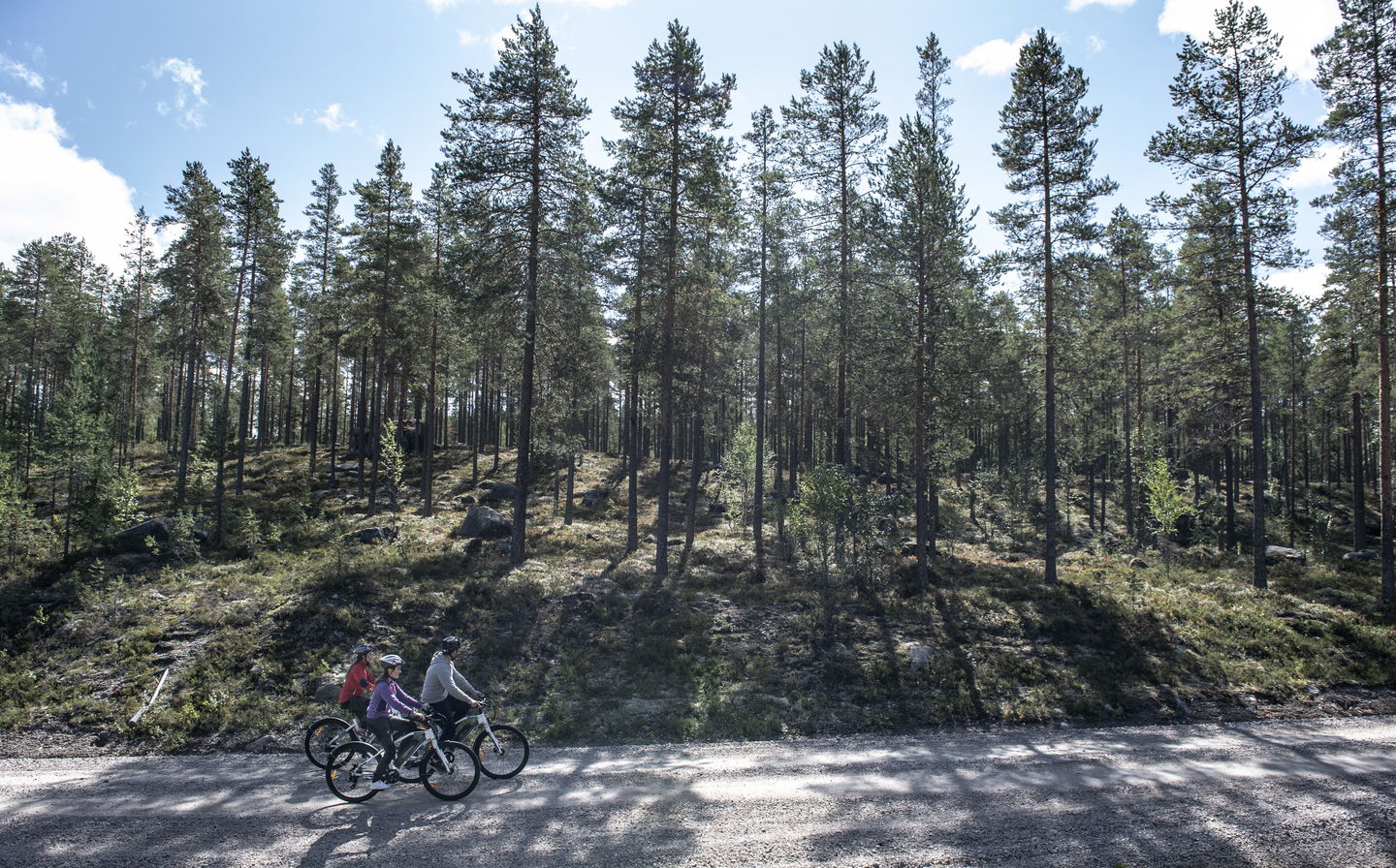 Tre personer som cyklar på en grusväg i skogen