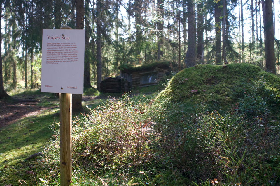 Foto: Karin Runesson
