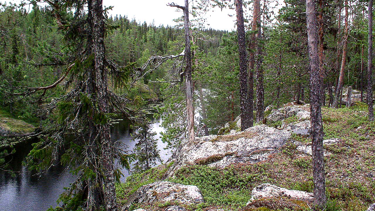 Kursujärvi