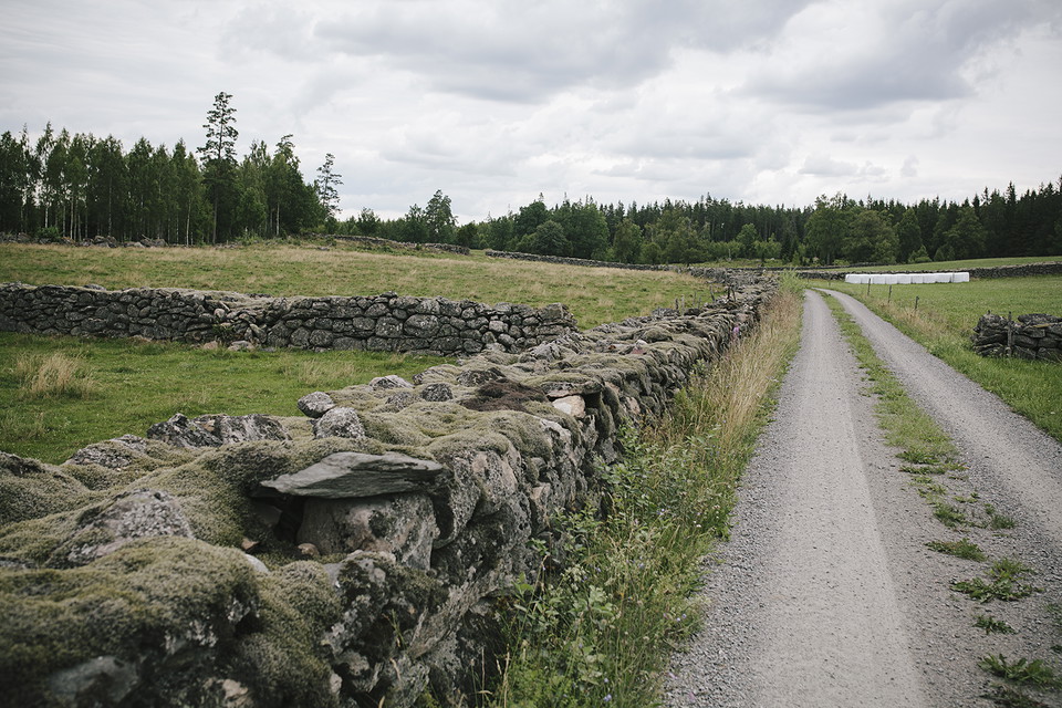 Sötåsa
