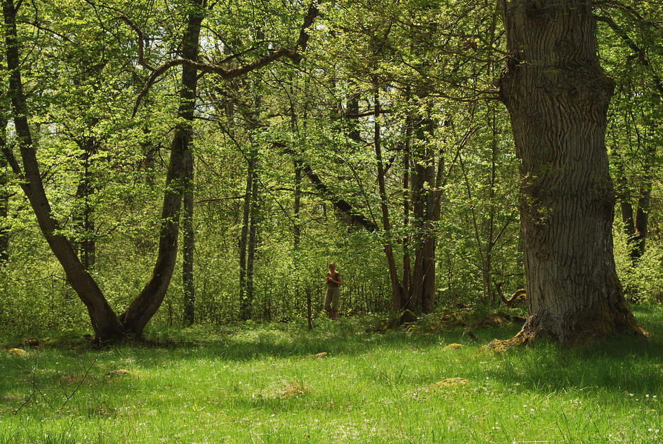 Fotograf: Tobias Ivarsson