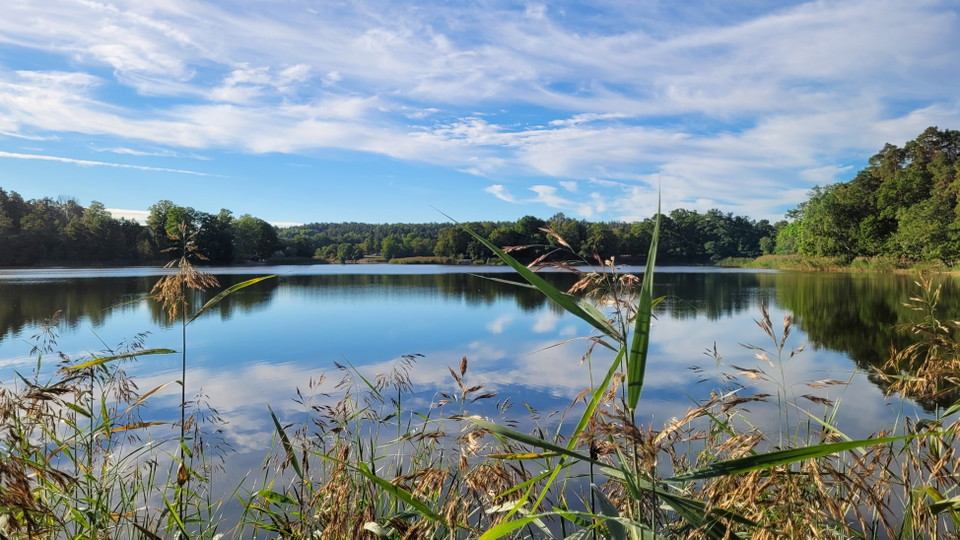 Gråviken. Foto Lidingö stad
