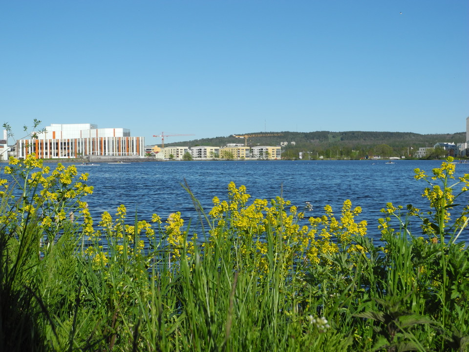 Munksjön