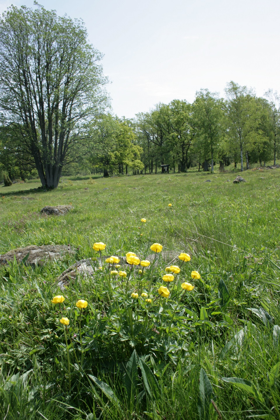 Fotograf: Eva Elfgren