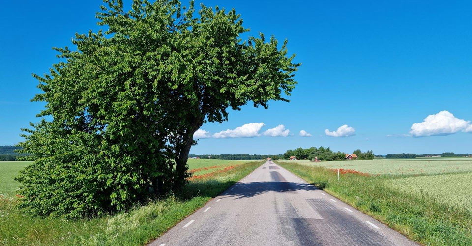 Etappen går till största delen på asfalt.
Etapp: Borghamn-Vadstena.
Vadstena.