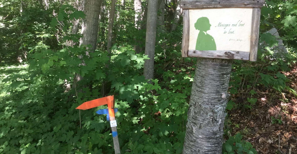 Citatslinga Ellen Key