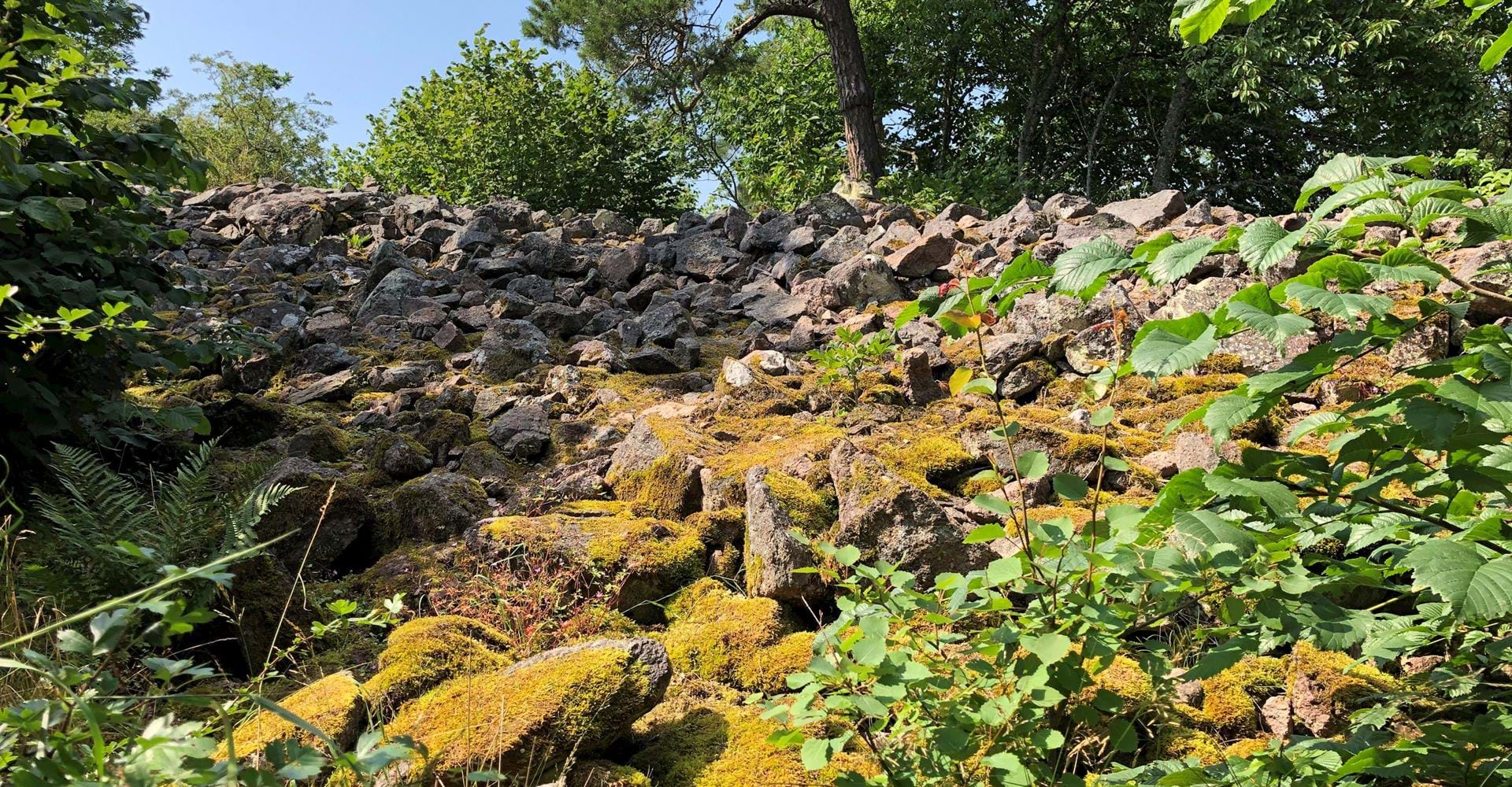 Drottning Ommas borg. 
Etapp: Omberg runt, Signaturleden. 
Vadstena