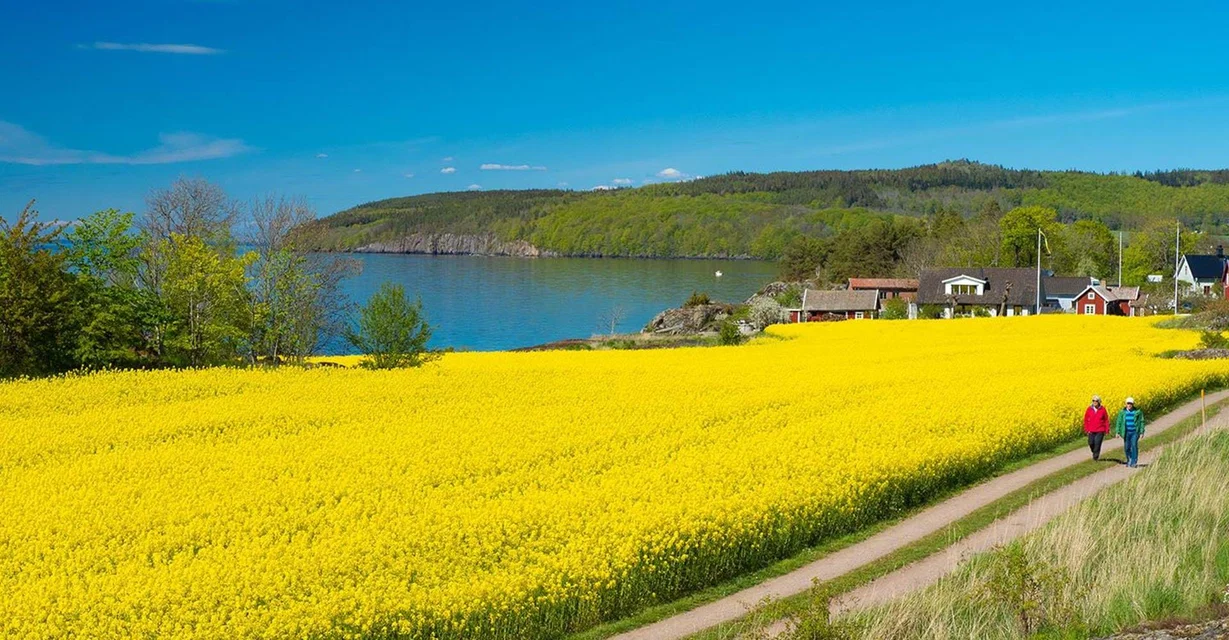 Hästholmen