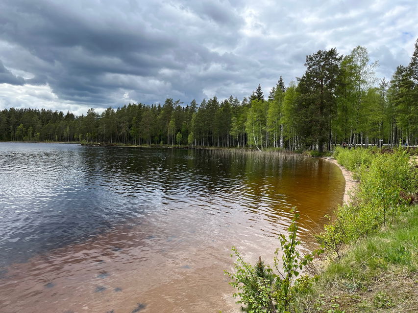 Vy över naturstranden