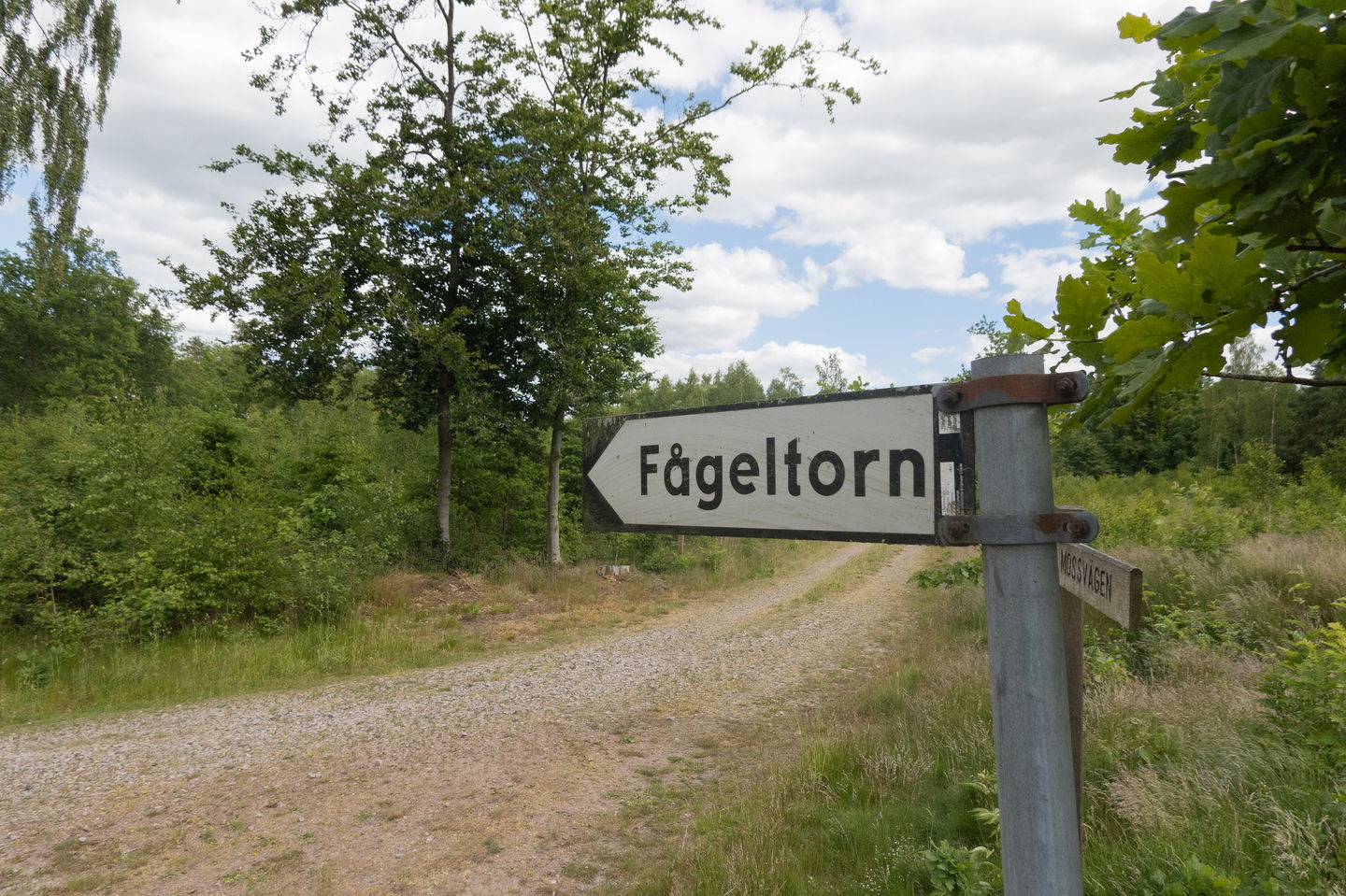 skylt med texten "fågeltorn"